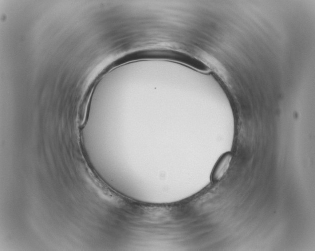 X0000088581332200706151702