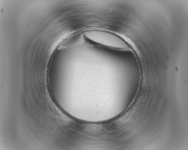 X0000088581333200706151702