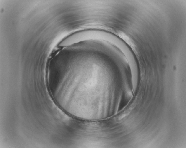 X0000088581334200706151702