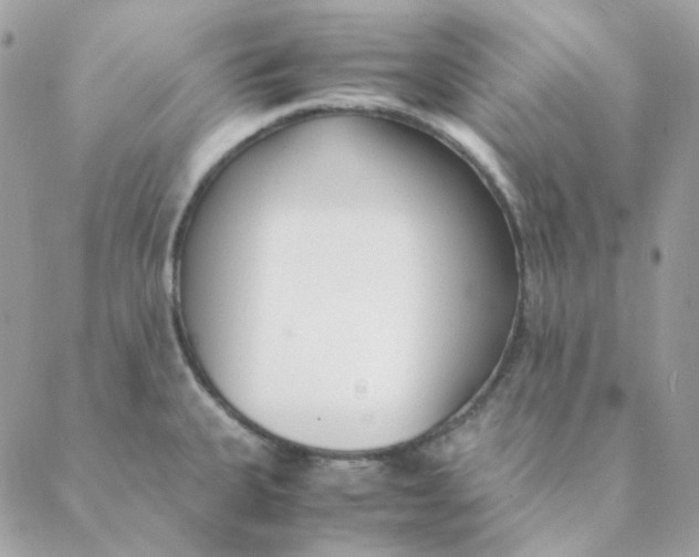 X0000088581335200706151702