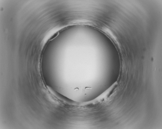 X0000088581336200706151702