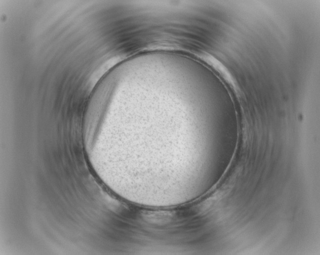 X0000088581337200706151702