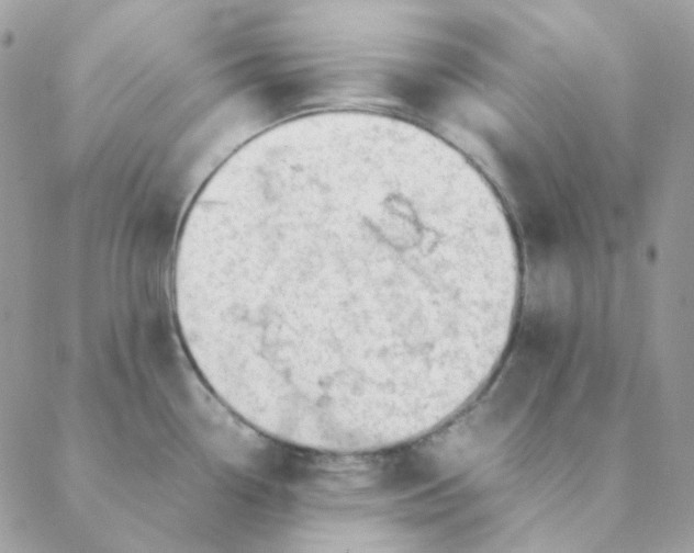 X0000088581338200706151702