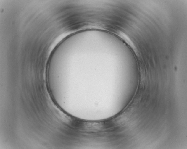 X0000088581339200706151702