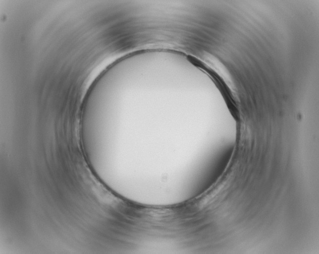 X0000088581340200706151702