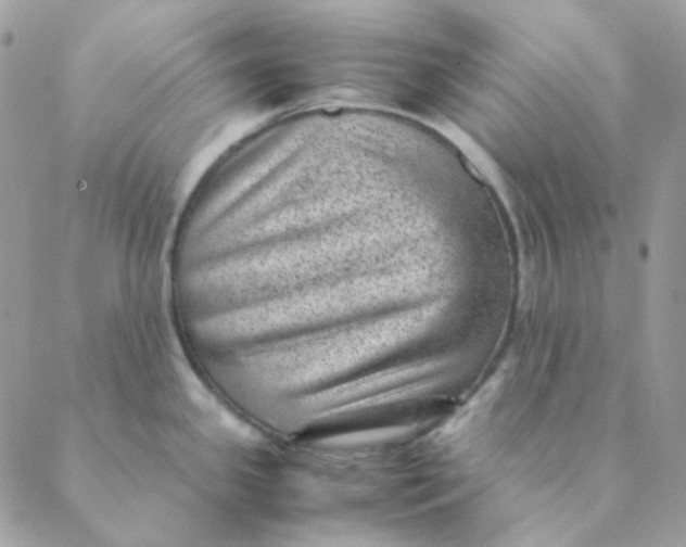 X0000088581341200706151702