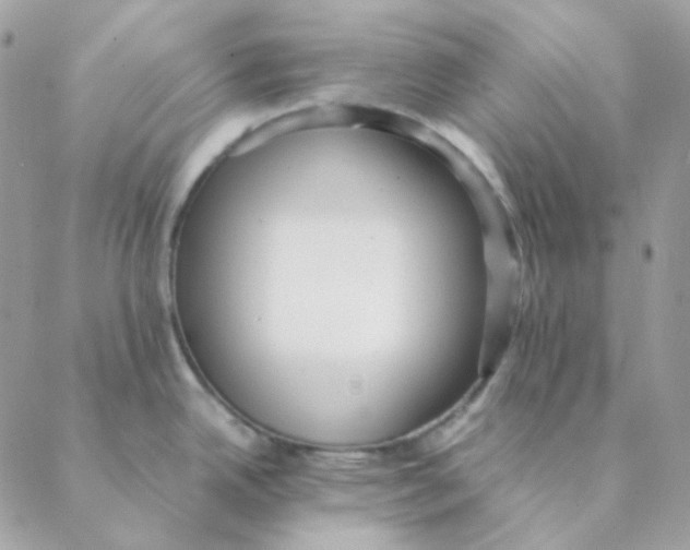 X0000088581342200706151702