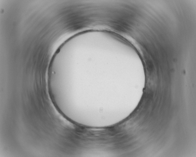 X0000088581343200706151702