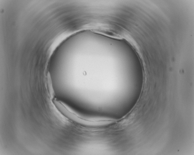 X0000088581344200706151702