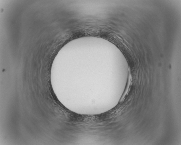 X0000088581345200706151701