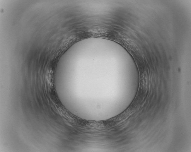 X0000088581346200706151701