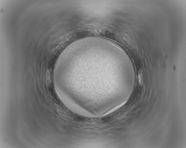 X0000088581347200706151701