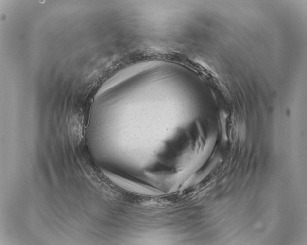 X0000088581348200706151701