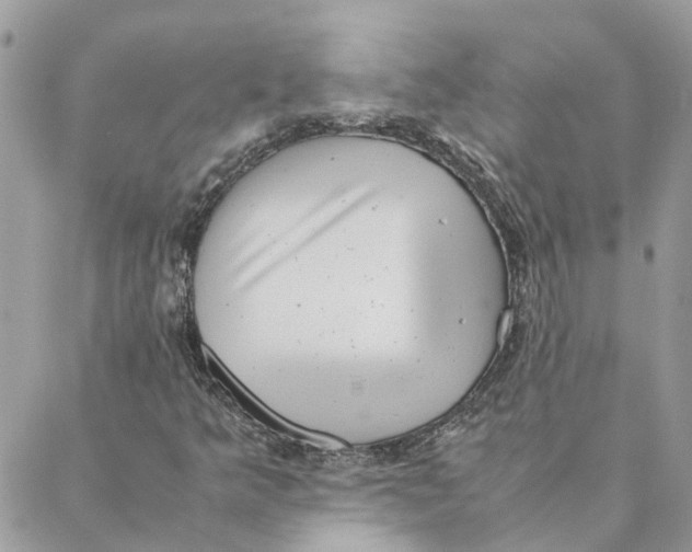 X0000088581349200706151701