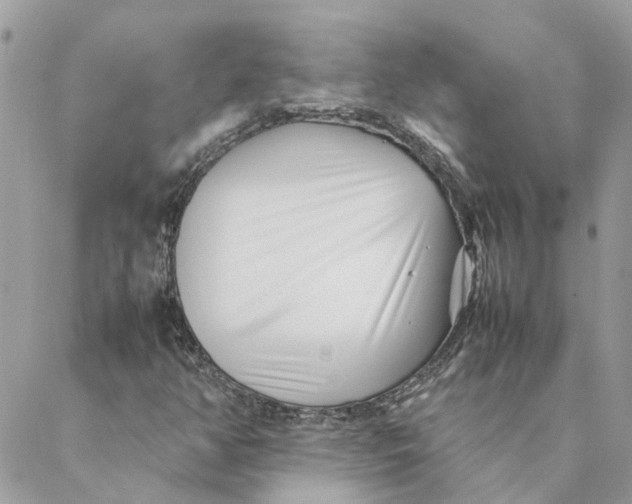 X0000088581350200706151701