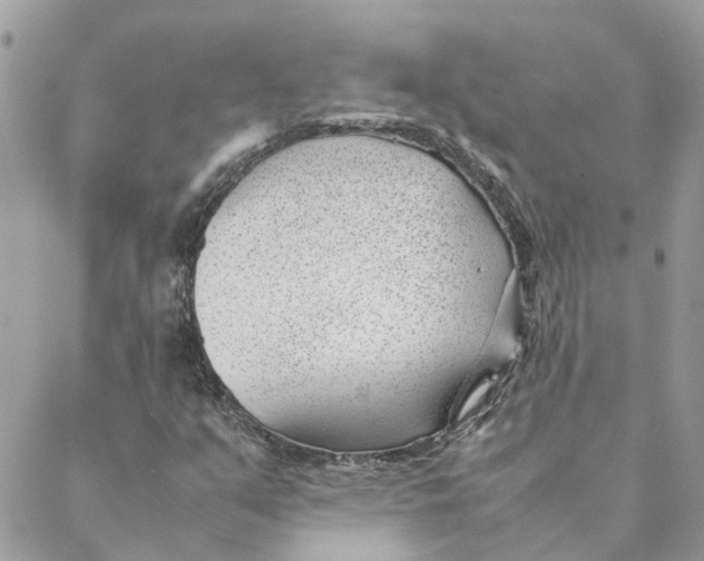 X0000088581351200706151701