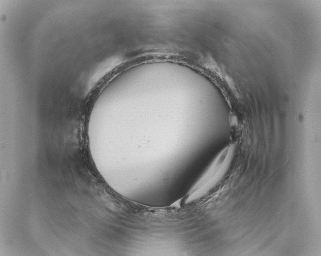 X0000088581352200706151701