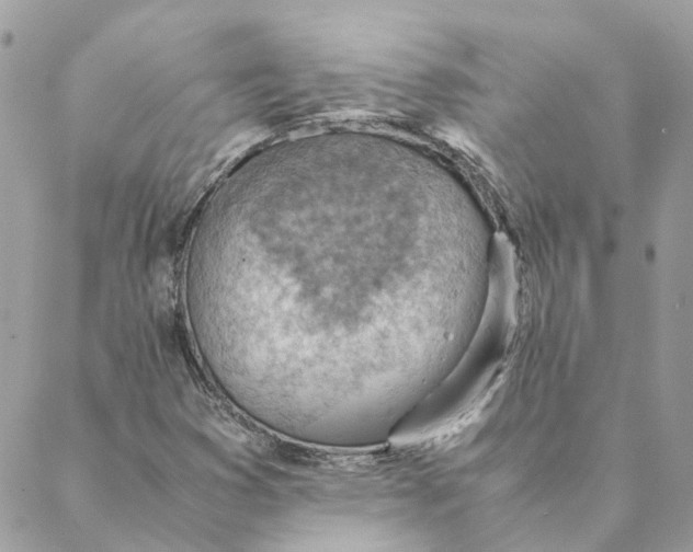 X0000088581353200706151701