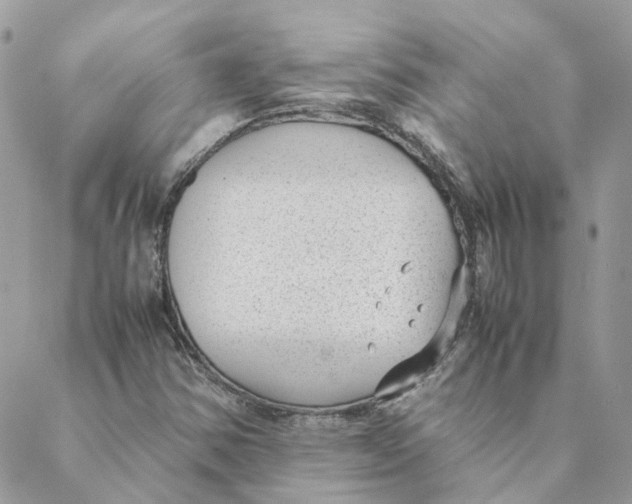 X0000088581354200706151701