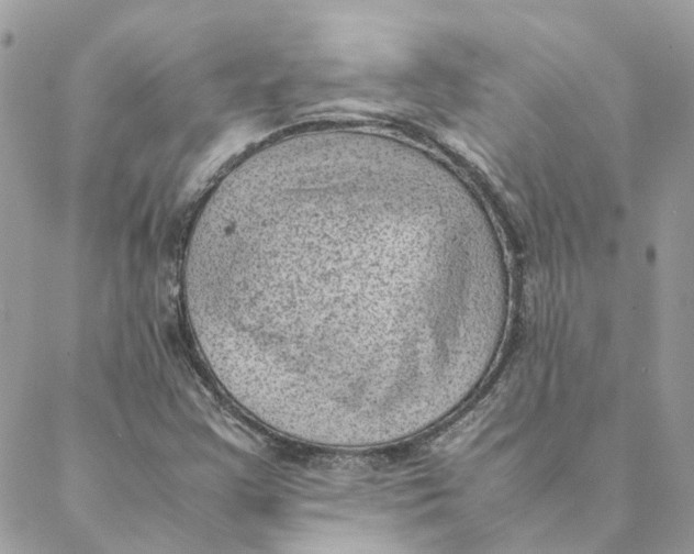 X0000088581355200706151701