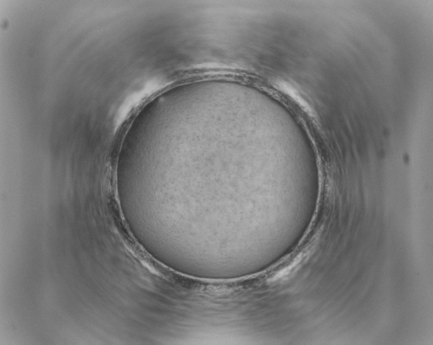 X0000088581357200706151701