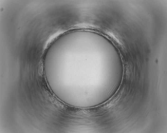 X0000088581358200706151701