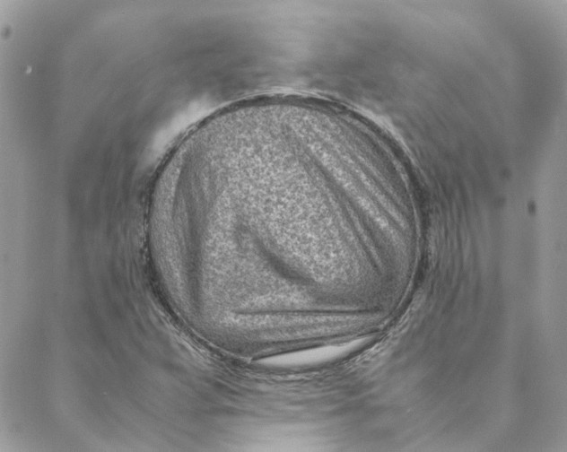 X0000088581359200706151701