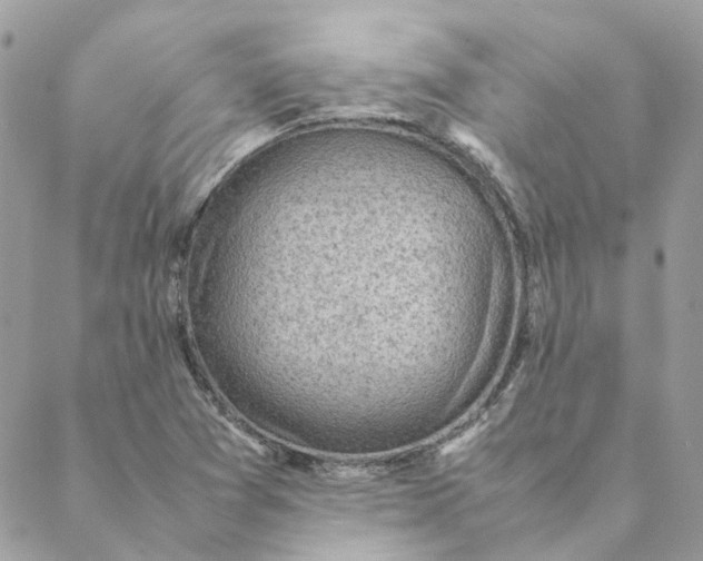 X0000088581361200706151701