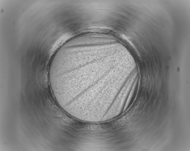 X0000088581362200706151701