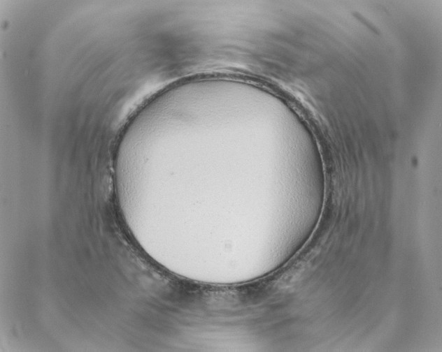 X0000088581363200706151701