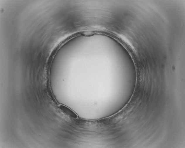 X0000088581364200706151701