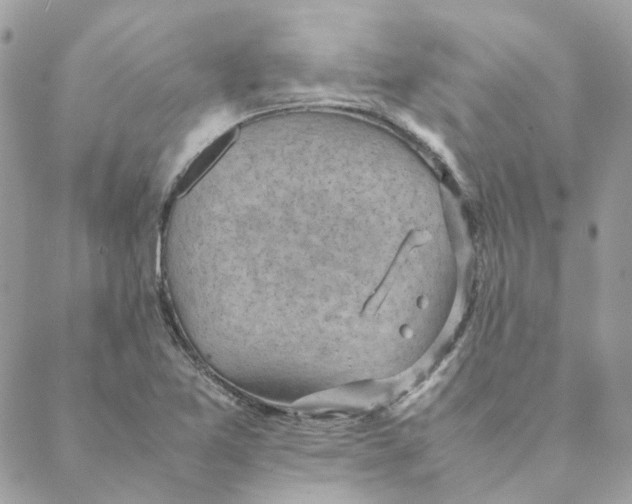 X0000088581365200706151701