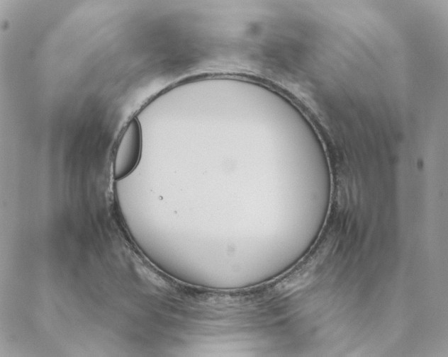 X0000088581366200706151701