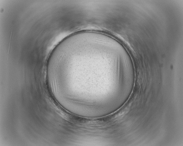 X0000088581367200706151701