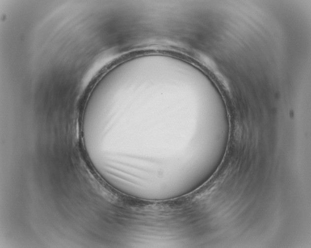 X0000088581368200706151701