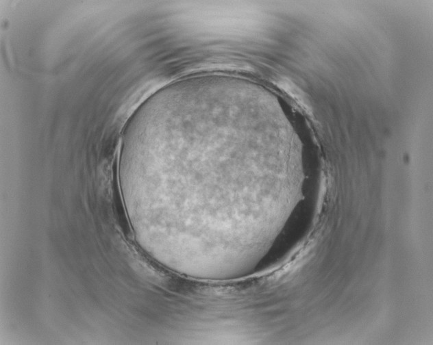 X0000088581369200706151701