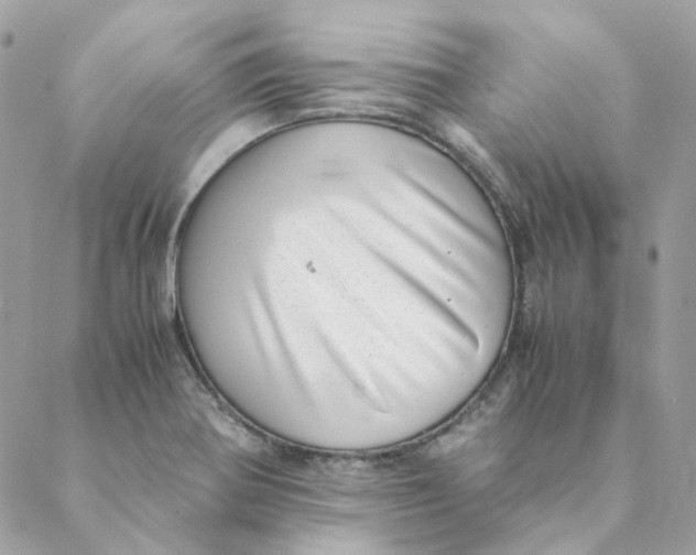 X0000088581370200706151701