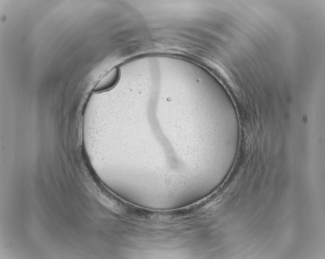 X0000088581371200706151701