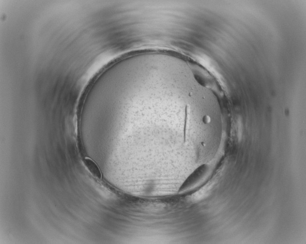 X0000088581372200706151701