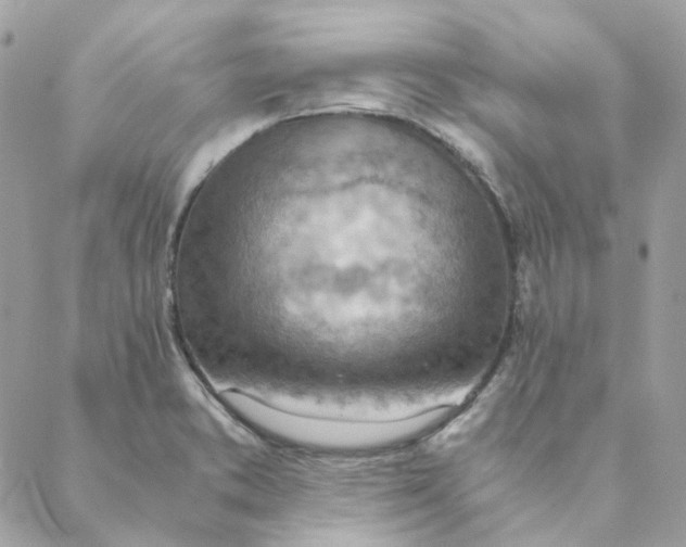 X0000088581373200706151701