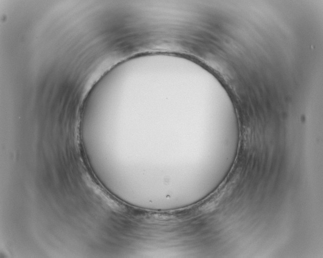 X0000088581374200706151701