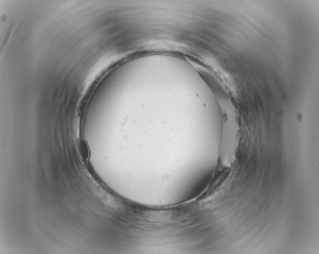 X0000088581376200706151701