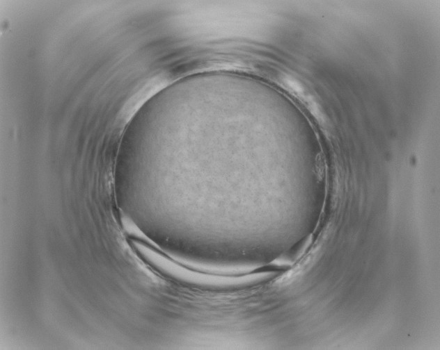 X0000088581377200706151701