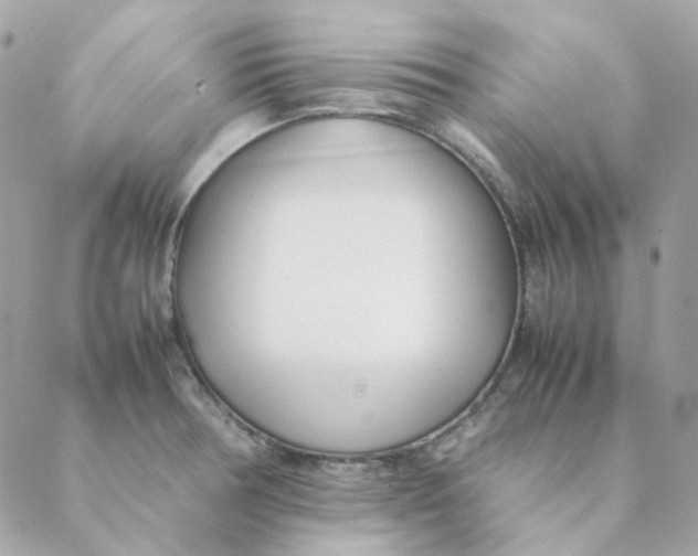 X0000088581378200706151701