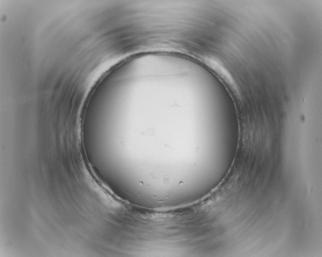 X0000088581380200706151700