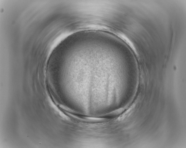 X0000088581381200706151700