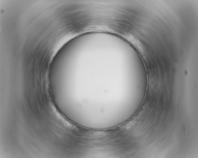 X0000088581382200706151700