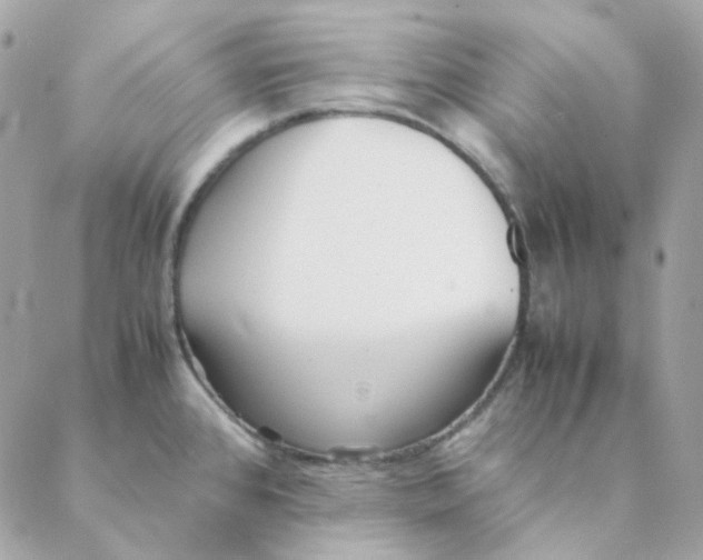 X0000088581384200706151700