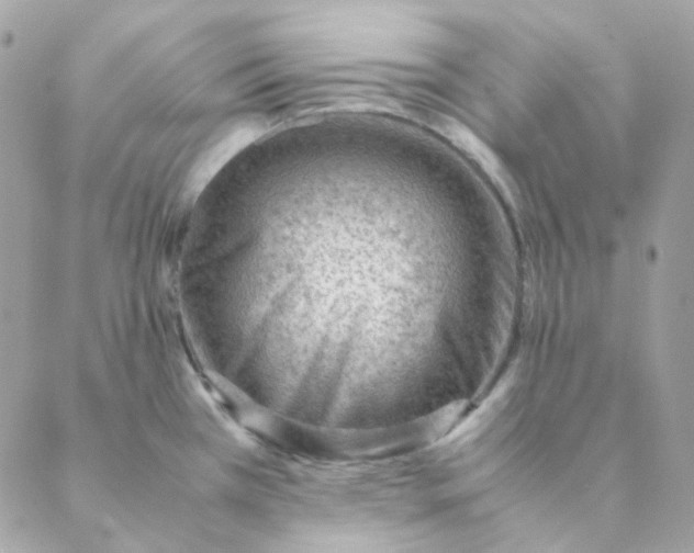 X0000088581385200706151700