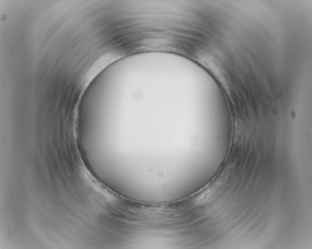 X0000088581386200706151700